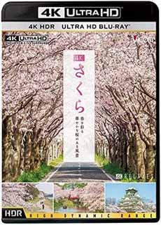 絶景!さくら列島、春爛漫